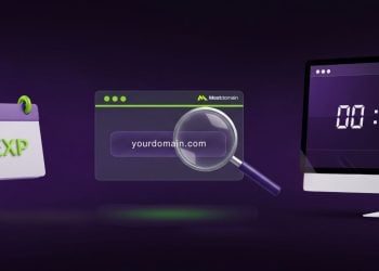 Domain Expiration Checker atau Lookup