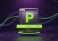 what is a Parked Domain