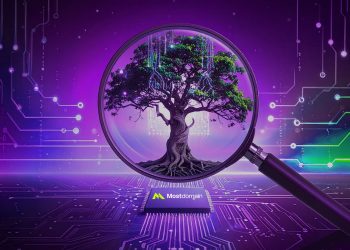 Does Domain Age Impact SEO in 2025 Key Insights