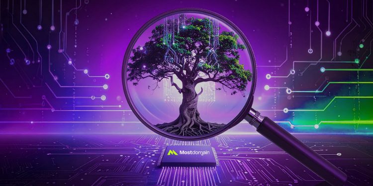 Does Domain Age Impact SEO in 2025 Key Insights
