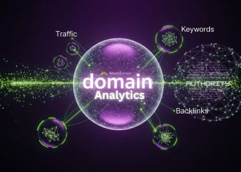 Domain Analytics: Tracking Your Domain Performance