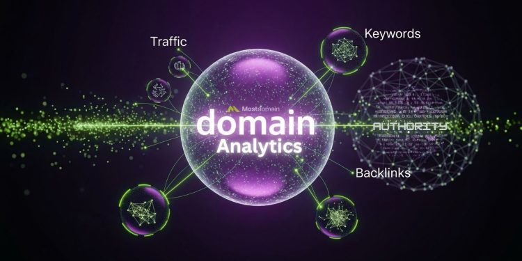 Domain Analytics: Tracking Your Domain Performance