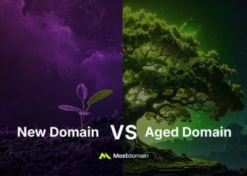aged domains vs new domains