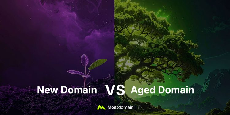 aged domains vs new domains