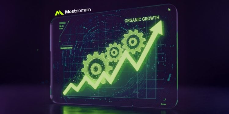 mostdomain seo best practices