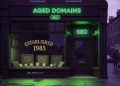 How to Find Aged Domains