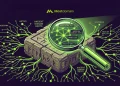 SEO Value of Aged Domains