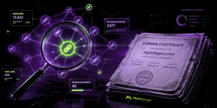 Aged Domain Backlink Audit