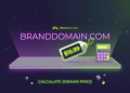 How Much Does a Domain Name Cost