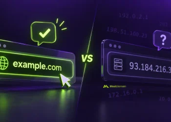 Why Do We Need the Domain Name System (DNS)