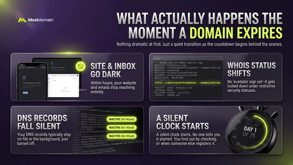 What Actually Happens the Moment a Domain Expires
