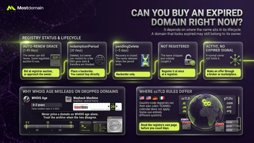 Can You Buy an Expired Domain Right Now?