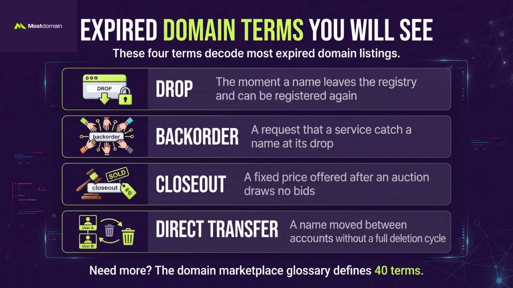 Expired Domain Terms You Will See